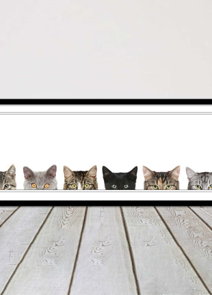 peeping kitten cats funny framed picture print panoramic choice of frame colour