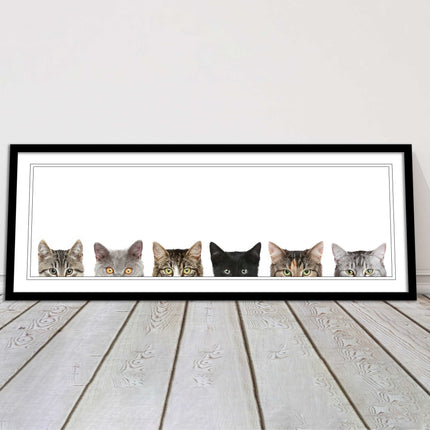 peeping kitten cats funny framed picture print panoramic choice of frame colour
