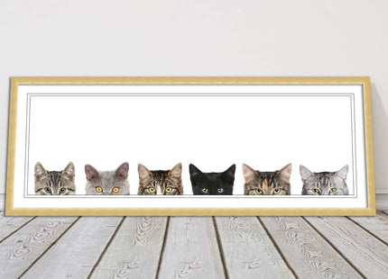 peeping kitten cats funny framed picture print panoramic choice of frame colour
