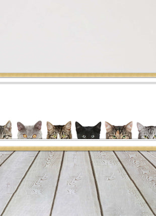 peeping kitten cats funny framed picture print panoramic choice of frame colour