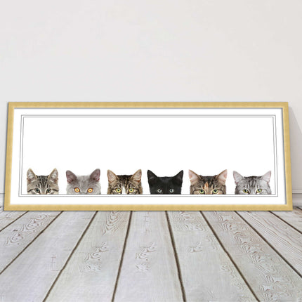 peeping kitten cats funny framed picture print panoramic choice of frame colour