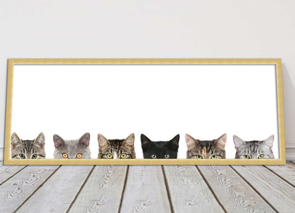 peeping kitten cats funny framed picture print panoramic choice of frame colour