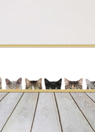 peeping kitten cats funny framed picture print panoramic choice of frame colour