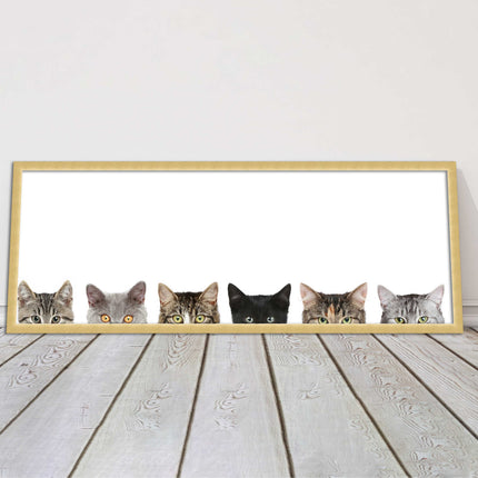 peeping kitten cats funny framed picture print panoramic choice of frame colour