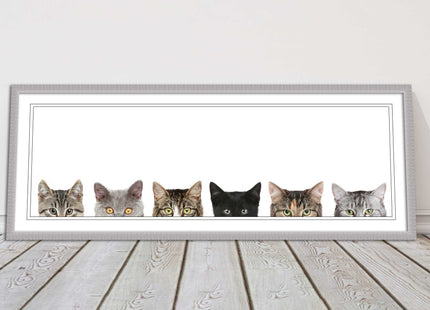 peeping kitten cats funny framed picture print panoramic choice of frame colour