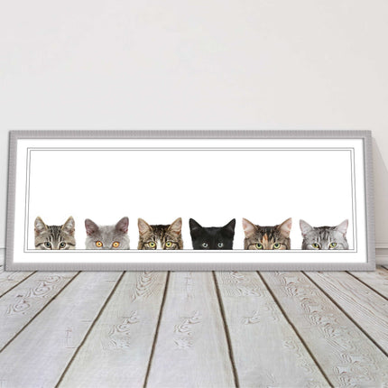 peeping kitten cats funny framed picture print panoramic choice of frame colour