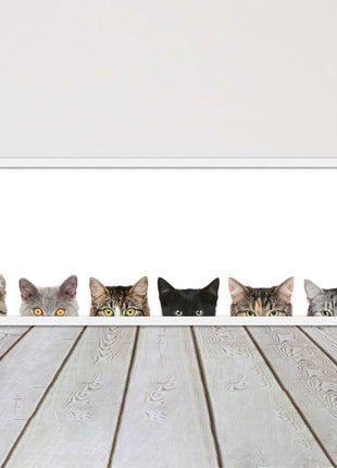 peeping kitten cats funny framed picture print panoramic choice of frame colour