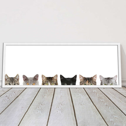 peeping kitten cats funny framed picture print panoramic choice of frame colour