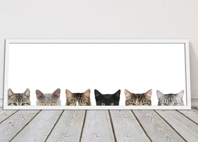 peeping kitten cats funny framed picture print panoramic choice of frame colour