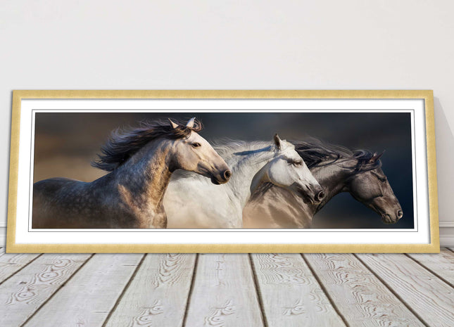 Wild Horses galloping Panoramic framed picture print A choice of picture frames.