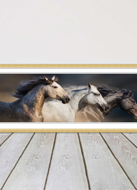 Wild Horses galloping Panoramic framed picture print A choice of picture frames.
