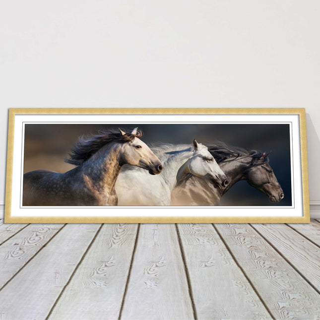 Wild Horses galloping Panoramic framed picture print A choice of picture frames.