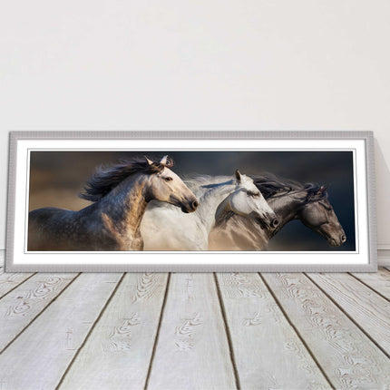 Wild Horses galloping Panoramic framed picture print A choice of picture frames.