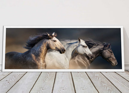 Wild Horses galloping Panoramic framed picture print A choice of picture frames.