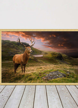 Stag in an Autumn forest sunset. Framed picture with choice of frame colours.