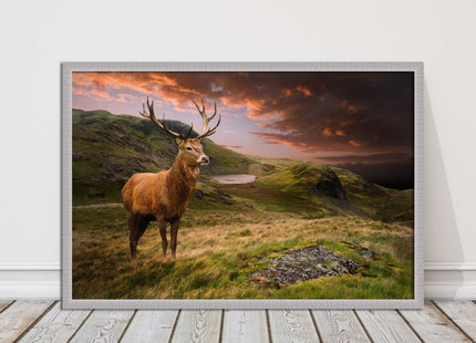 Stag in an Autumn forest sunset. Framed picture with choice of frame colours.