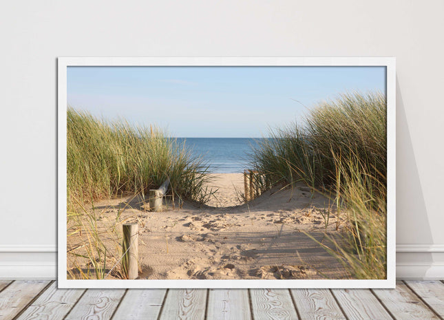 Beach Path sandbanks in the sand dunes. framed picture print choice frames