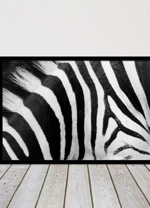 Zebra close up image. Framed picture, with choice of frame colours and options.