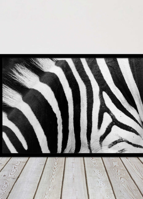 Zebra close up image. Framed picture, with choice of frame colours and options.