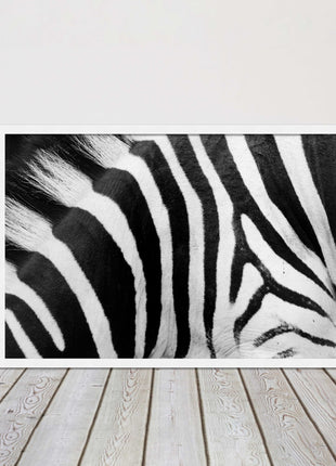 Zebra close up image. Framed picture, with choice of frame colours and options.