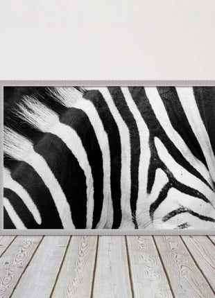 Zebra close up image. Framed picture, with choice of frame colours and options.