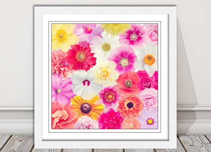 Bright summer flowers. Framed picture print. A choice of frames square.