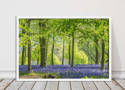 picture frame bluebells in the woods ready to hang wall art home decor framed