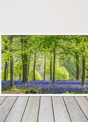 picture frame bluebells in the woods ready to hang wall art home decor framed