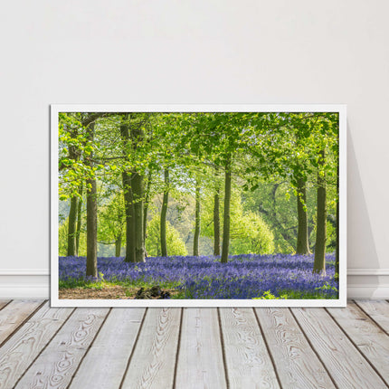 picture frame bluebells in the woods ready to hang wall art home decor framed