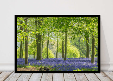 picture frame bluebells in the woods ready to hang wall art home decor framed