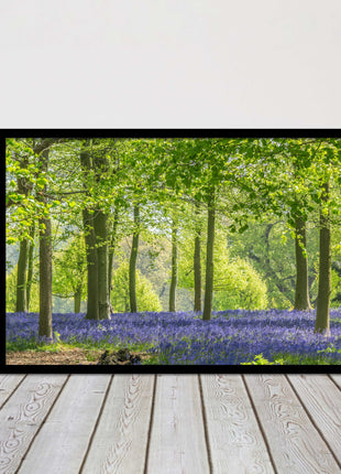 picture frame bluebells in the woods ready to hang wall art home decor framed