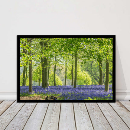 picture frame bluebells in the woods ready to hang wall art home decor framed