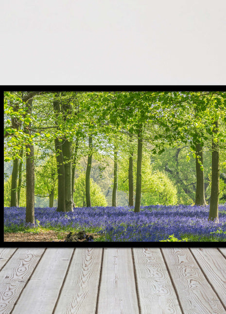 picture frame bluebells in the woods ready to hang wall art home decor framed