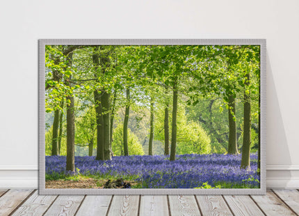 picture frame bluebells in the woods ready to hang wall art home decor framed
