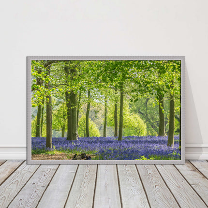 picture frame bluebells in the woods ready to hang wall art home decor framed