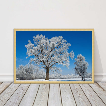 Snow covered trees under a blue sky. Framed picture with choice of frame colours