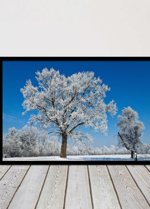 Snow covered trees under a blue sky. Framed picture with choice of frame colours