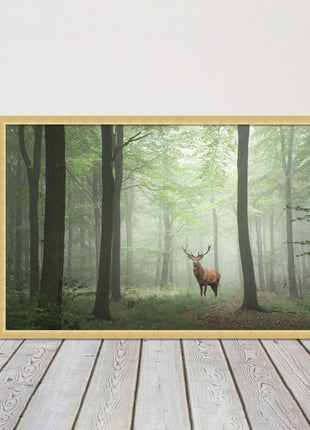 Stag in a misty forest. Framed picture with choice of frame colours and options.