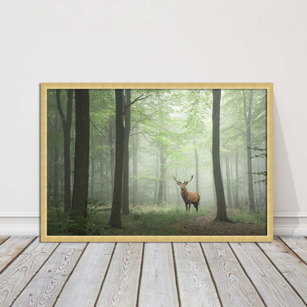 Stag in a misty forest. Framed picture with choice of frame colours and options.