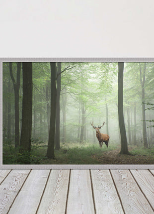 Stag in a misty forest. Framed picture with choice of frame colours and options.