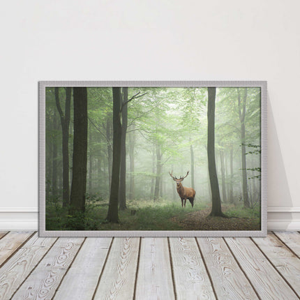 Stag in a misty forest. Framed picture with choice of frame colours and options.