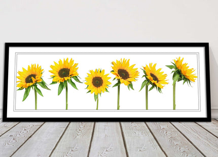 Golden sunflowers painting. Panoramic framed picture print frame choice