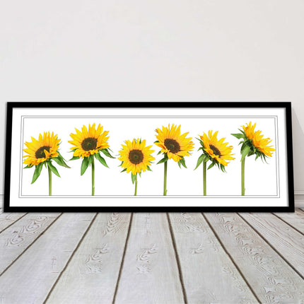 Golden sunflowers painting. Panoramic framed picture print frame choice