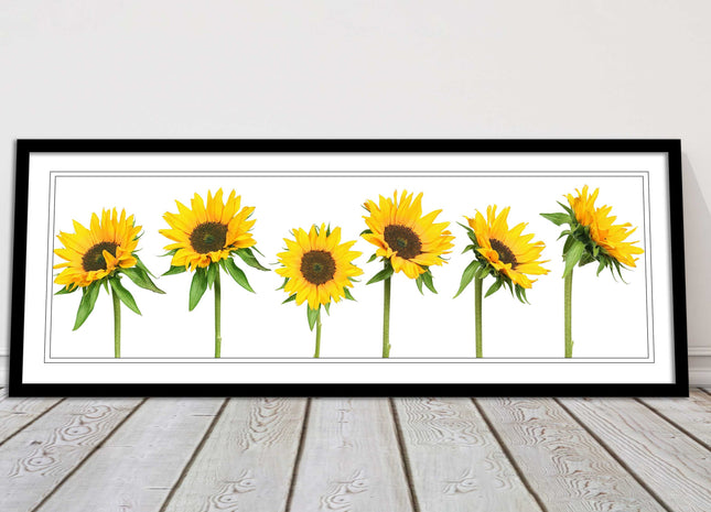 Golden sunflowers painting. Panoramic framed picture print frame choice