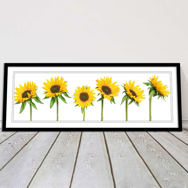 Golden sunflowers painting. Panoramic framed picture print frame choice