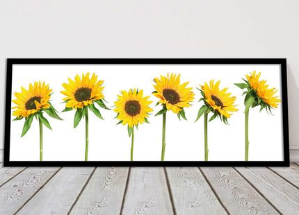 Golden sunflowers painting. Panoramic framed picture print frame choice