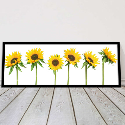Golden sunflowers painting. Panoramic framed picture print frame choice