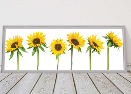 Golden sunflowers painting. Panoramic framed picture print frame choice