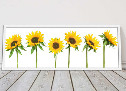 Golden sunflowers painting. Panoramic framed picture print frame choice
