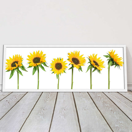 Golden sunflowers painting. Panoramic framed picture print frame choice